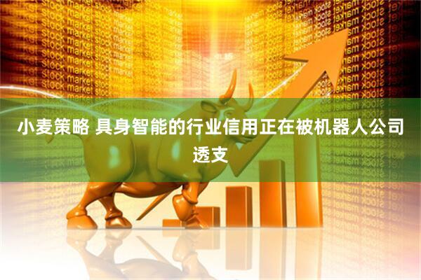 小麦策略 具身智能的行业信用正在被机器人公司透支