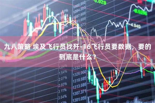 九八策略 埃及飞行员找歼-16飞行员要数据，要的到底是什么？