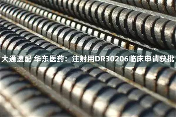 大通速配 华东医药：注射用DR30206临床申请获批