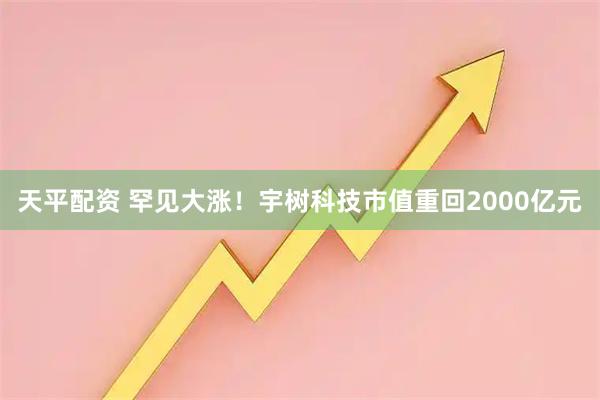 天平配资 罕见大涨!宇树科技市值重回2000亿元