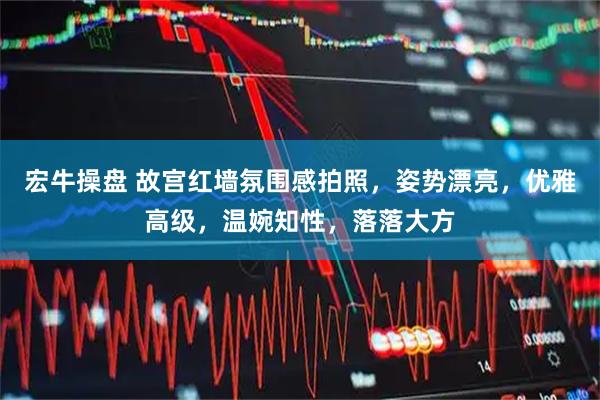 宏牛操盘 故宫红墙氛围感拍照，姿势漂亮，优雅高级，温婉知性，落落大方